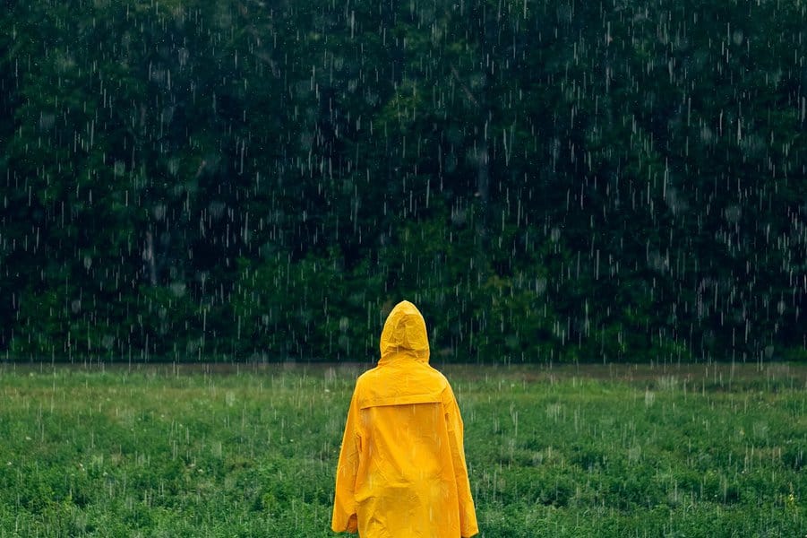 18雨事实将吹你的思想
