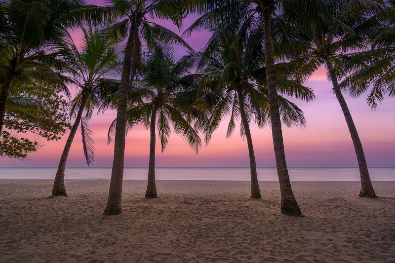 Aruba-Tropical-Island