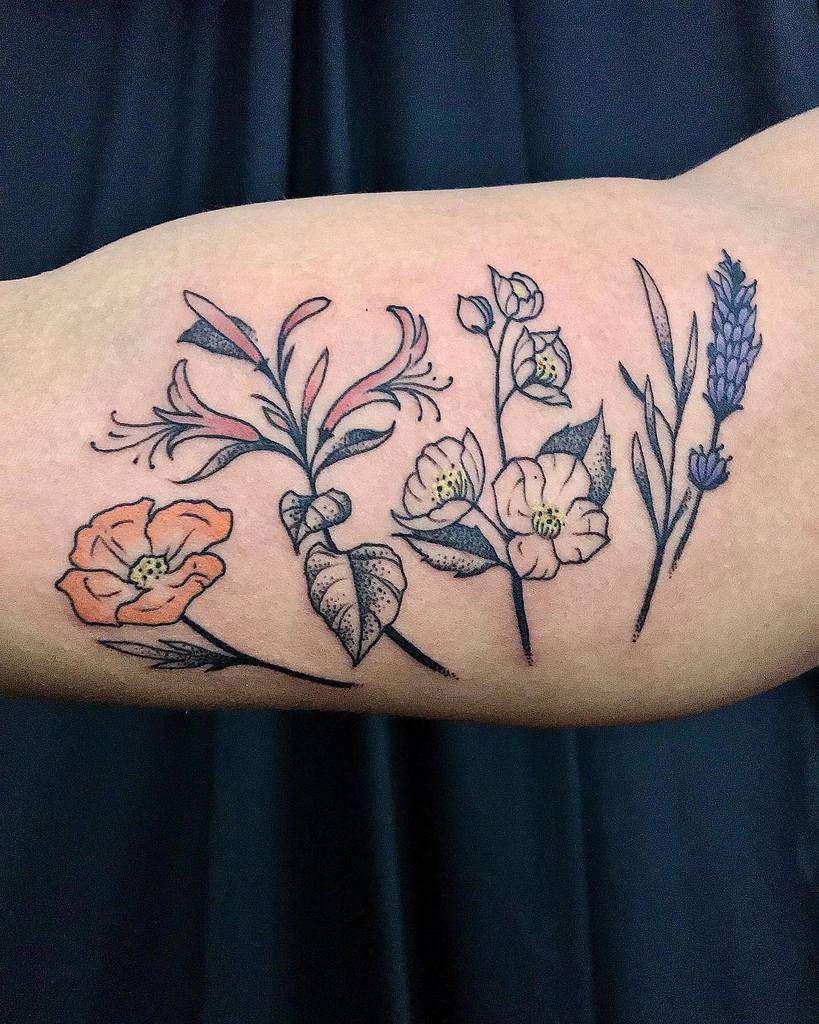 植物忍冬纹Acspengler