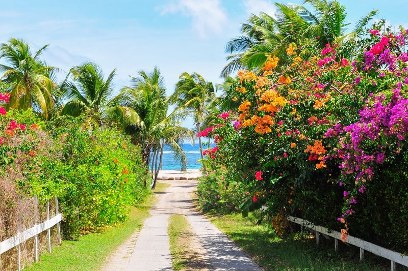 Nevis-Tropical-Island