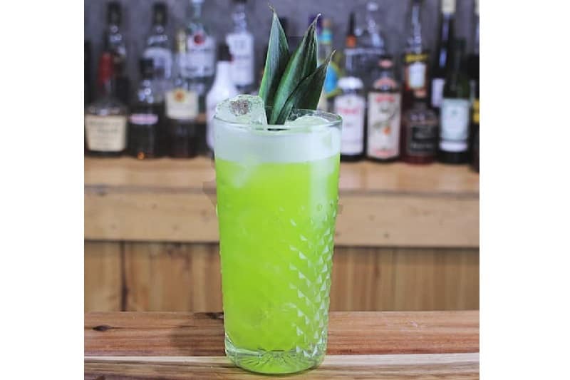 The-Midori-Illusion