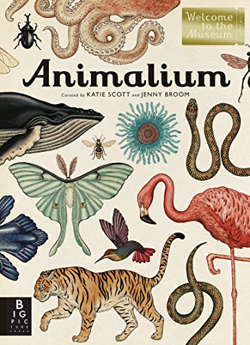 animalium书