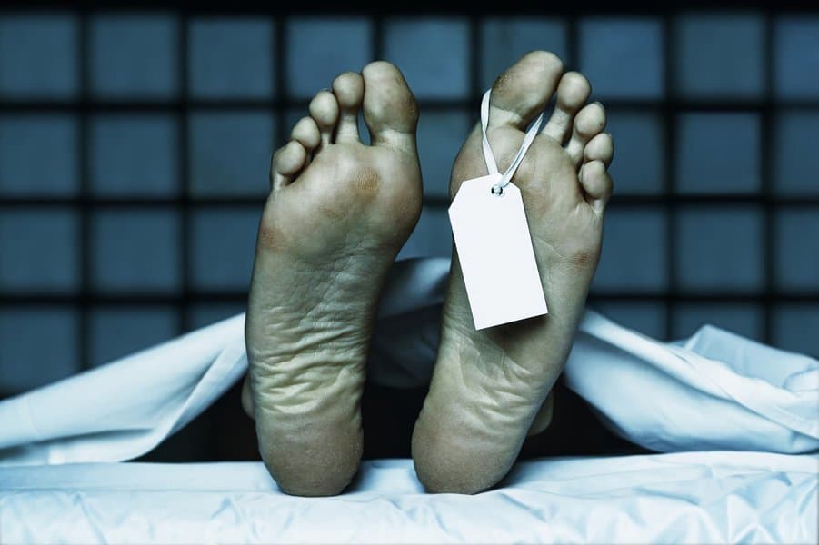 11身体机能,死后继续
