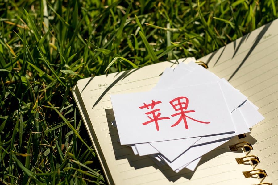 hardest-languages-to-learn-for-english-speakers-image-5