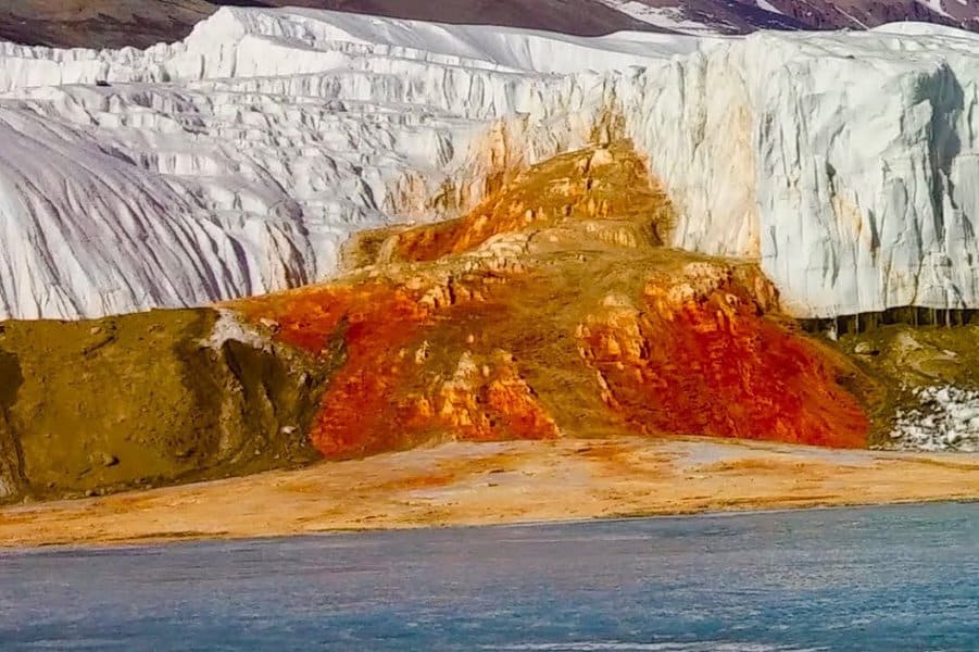 incredible-facts-about-antarctica-image-7